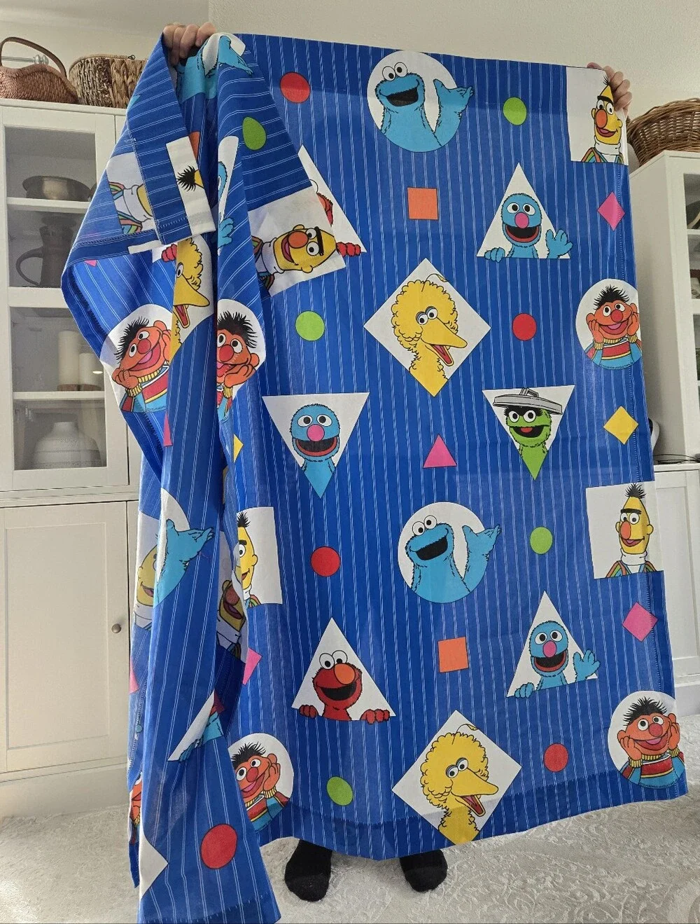 Pair (2) Vintage 1990s Sesame Street Character Curtain Panels